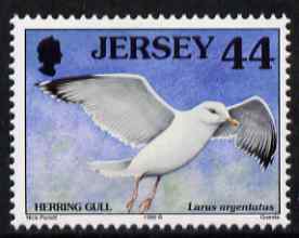 Jersey 1997-99 Seabirds & Waders 44p Herring Gull unmounted mint SG 798, stamps on birds