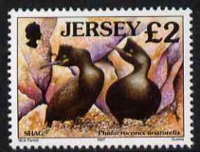 Jersey 1997-99 Seabirds & Waders Â£2 Shag unmounted mint SG 805, stamps on birds