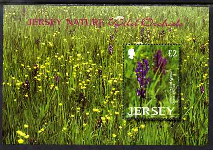 Jersey 2003 Wild Orchids perf m/sheet unmounted mint, SG MS1098, stamps on flowers, stamps on orchids