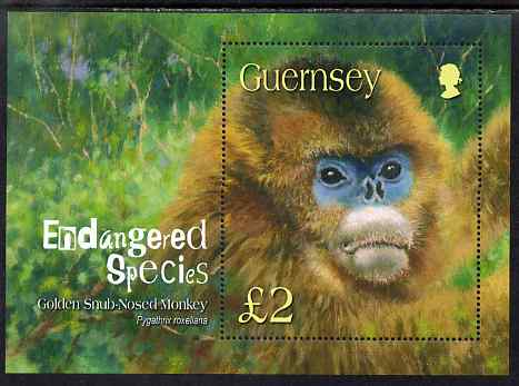 Guernsey 2004 Endangered Species (1st series) Golden Snub-nosed Monkey perf m/sheet unmounted mint, SG MS1016, stamps on animals, stamps on monkeys