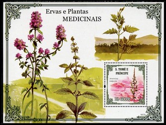 St Thomas & Prince Islands 2009 Medical Plants perf s/sheet unmounted mint, stamps on flowers, stamps on medical