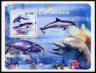St Thomas & Prince Islands 2009 Whales & Dolphins perf s/sheet unmounted mint, stamps on marine life, stamps on whales, stamps on dolphins