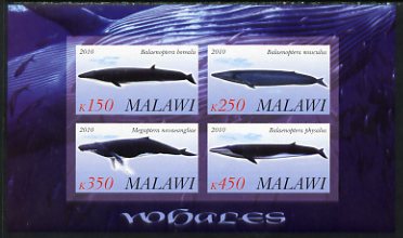 Malawi 2010 Whales imperf sheetlet containing 4 values unmounted mint, stamps on , stamps on  stamps on marine life, stamps on  stamps on whales