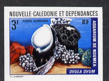 New Caledonia 1974 Marine Fauna 3f (Ovula Shell) imperf proof from limited printing unmounted mint, SG 519*, stamps on marine life, stamps on shells