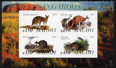 Malawi 2010 Kangaroos imperf sheetlet containing 4 values unmounted mint, stamps on mammals, stamps on kangaroos