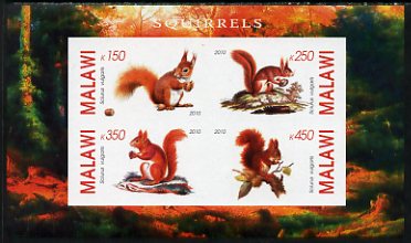 Malawi 2010 Squirrels imperf sheetlet containing 4 values unmounted mint, stamps on animals, stamps on squirrels