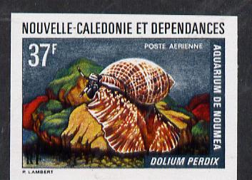 New Caledonia 1974 Marine Fauna 37f (Dolium Shell) imperf proof from limited printing unmounted mint, SG 524*, stamps on marine life, stamps on shells