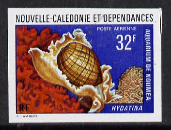 New Caledonia 1974 Marine Fauna 32f (Hydatina Shell) imperf proof from limited printing unmounted mint, SG 523*, stamps on marine life, stamps on shells