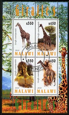 Malawi 2010 Giraffes perf sheetlet containing 4 values fine cto used, stamps on animals, stamps on giraffes