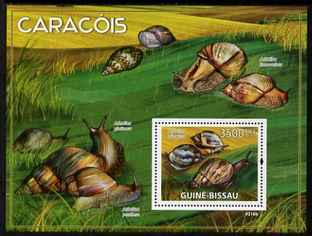 Guinea - Bissau 2009 Snails of Africa perf s/sheet unmounted mint Michel BL 690, stamps on shells