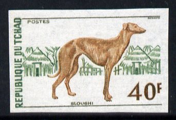 Chad 1972 Saluki Hound 40f IMPERF, unmounted mint, as SG 379, stamps on animals, stamps on dogs