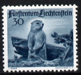 Liechtenstein 1946 Alpine Marmot 30r from Wildlife set unmounted mint, SG 256, stamps on animals, stamps on rodents