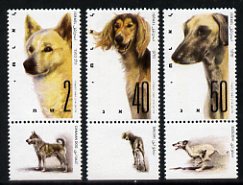 Israel 1987 World Dog Show (Dogs of Israeli Origin) set of 3 with tabs unmounted mint, SG 1024-26, stamps on dogs, stamps on saluki, stamps on sloughi, stamps on canaan
