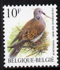Belgium 1996-99 Birds #3 Turtle Dove 10f unmounted mint, SG 3312, stamps on birds, stamps on doves