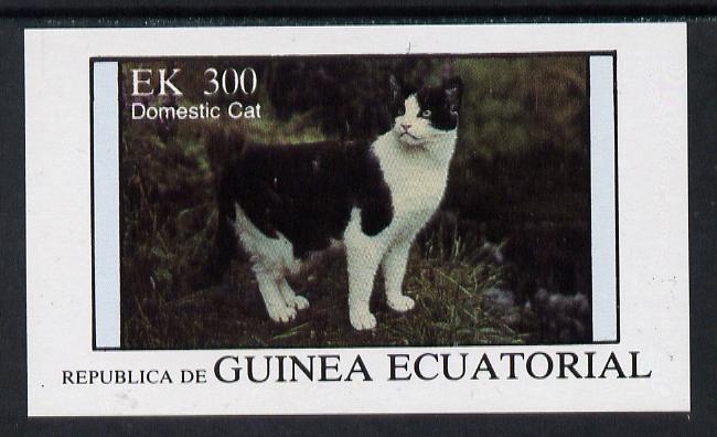 Equatorial Guinea 1976 Cats 300ek imperf m/sheet unmounted mint, stamps on animals   cats