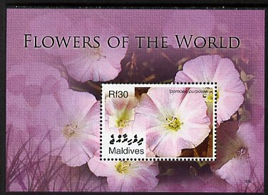 Maldive Islands 2007 Flowers of the World perf m/sheet (Ipomoea purpurea) unmounted mint, SG MS4121c, stamps on flowers