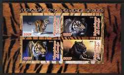 Congo 2010 Year of the Tiger imperf sheetlet containing 4 values unmounted mint, stamps on animals, stamps on cats, stamps on tigers