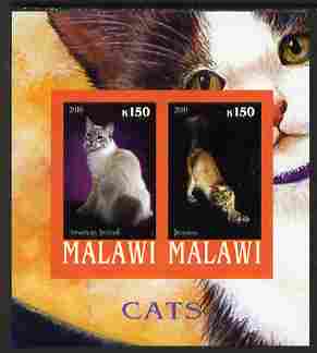 Malawi 2010 Domestic Cats #01 imperf sheetlet containing 2 values unmounted mint, stamps on cats