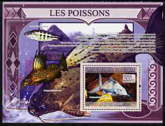 Guinea - Conakry 2009 Fish perf s/sheet unmounted mint, stamps on fish