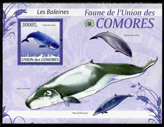 Comoro Islands 2009 Whales perf s/sheet unmounted mint Yv 197, stamps on animals, stamps on marine life, stamps on whales