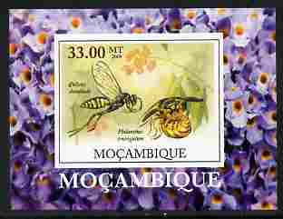 Mozambique 2009 William Kirby Butterflies & Insects #2 individual imperf deluxe sheetlet unmounted mint. Note this item is privately produced and is offered purely on its thematic appeal , stamps on butterflies, stamps on insects