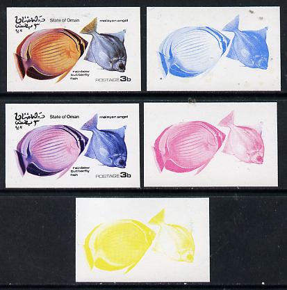 Oman 1974 Tropical Fish 3b (Angel & Butterfly Fish) set of 5 imperf progressive colour proofs comprising 3 individual colours (red, blue & yellow) plus 3 and all 4-colour..., stamps on fish     marine-life