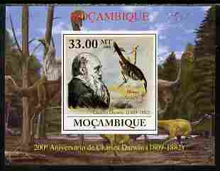 Mozambique 2009 200th Birth Anniversary of Charles Darwin #01 individual imperf deluxe sheet unmounted mint. Note this item is privately produced and is offered purely on its thematic appeal, stamps on , stamps on  stamps on personalities, stamps on  stamps on science, stamps on  stamps on animals, stamps on  stamps on birds, stamps on  stamps on dinosaurs, stamps on  stamps on darwin