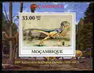 Mozambique 2009 200th Birth Anniversary of Charles Darwin #04 individual imperf deluxe sheet unmounted mint. Note this item is privately produced and is offered purely on its thematic appeal, stamps on personalities, stamps on science, stamps on animals, stamps on birds, stamps on dinosaurs, stamps on darwin
