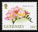 Guernsey 1992-97 Flowers definitive 26p Freesia unmounted mint SG 576b, stamps on , stamps on  stamps on flowers