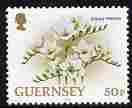 Guernsey 1992-97 Flowers definitive 50p Freesia unmounted mint SG 580, stamps on flowers