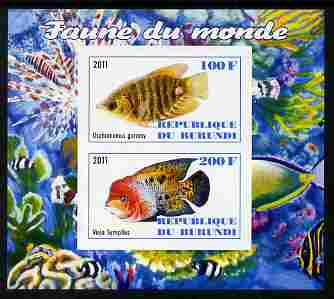 Burundi 2011 Fauna of the World - Fish #1 (Gourami & Vieja) imperf sheetlet containing 2 values unmounted mint, stamps on fish