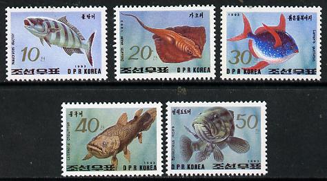 North Korea 1993 Fish perf set of 5 unmounted mint*, stamps on , stamps on  stamps on fish, stamps on marine life, stamps on , stamps on coelacanth