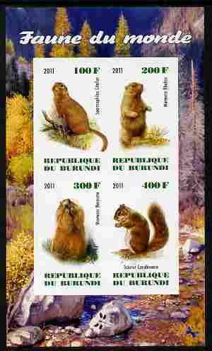 Burundi 2011 Fauna of the World - Mammals (Squirrels & Marmots) imperf sheetlet containing 4 values unmounted mint, stamps on animals, stamps on mammals, stamps on squirrels, stamps on rodents