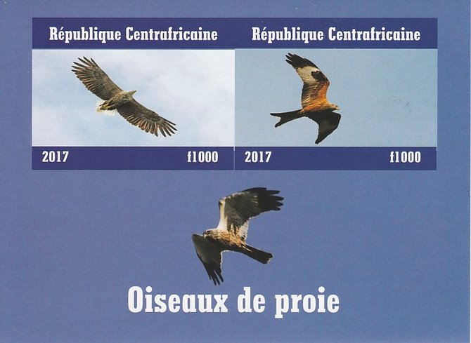 Central African Republic 2017 Birds of Prey #1 imperf sheetlet containing 2 values unmounted mint. Note this item is privately produced and is offered purely on its thema..., stamps on birds, stamps on prey