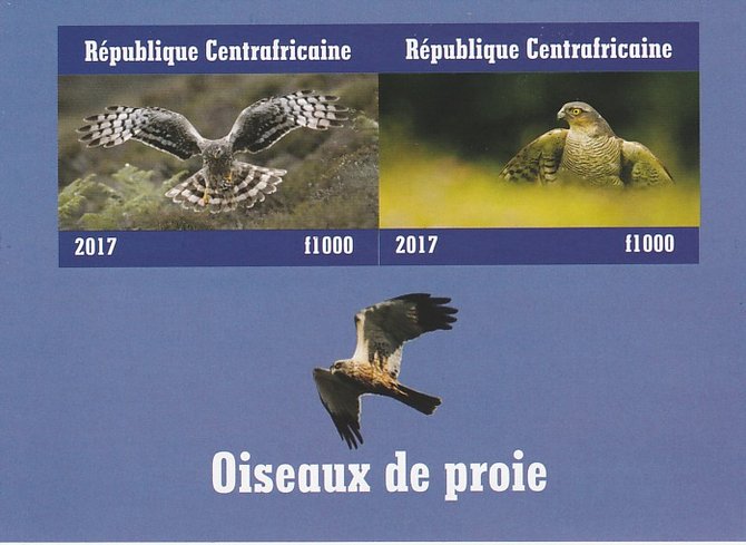 Central African Republic 2017 Birds of Prey #3 imperf sheetlet containing 2 values unmounted mint. Note this item is privately produced and is offered purely on its thematic appeal, stamps on birds, stamps on prey