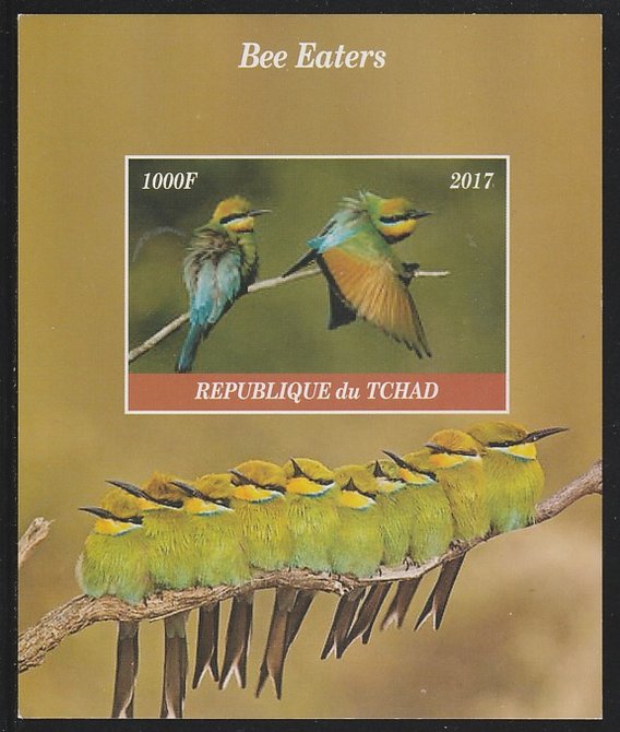 Chad 2017 Bee Eaters imperf s/sheet containing 1 value unmounted mint. Note this item is privately produced and is offered purely on its thematic appeal. . , stamps on birds, stamps on bee eaters