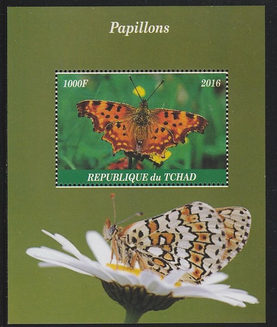 Chad 2016 Butterflies perf s/sheet containing 1 value unmounted mint. Note this item is privately produced and is offered purely on its thematic appeal. . , stamps on butterflies