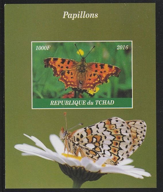 Chad 2016 Butterflies imperf s/sheet containing 1 value unmounted mint. Note this item is privately produced and is offered purely on its thematic appeal. . , stamps on butterflies