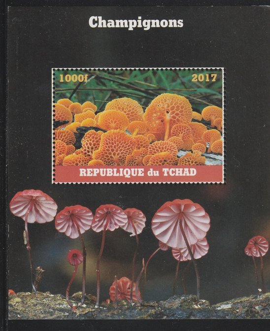 Chad 2017 Fungi perf s/sheet containing 1 value unmounted mint. Note this item is privately produced and is offered purely on its thematic appeal. . , stamps on fungi      