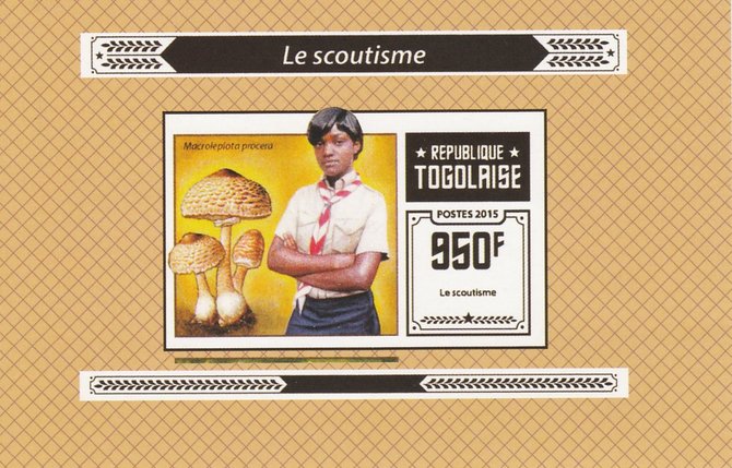 Togo 2015 Scouting #2 imperf deluxe sheet unmounted mint. Note this item is privately produced and is offered purely on its thematic appeal, stamps on , stamps on  stamps on scouts, stamps on  stamps on fungi