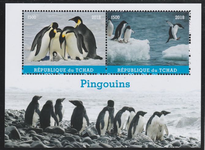 Chad 2018 Penguins perf sheetlet containing 2 values unmounted mint. Note this item is privately produced and is offered purely on its thematic appeal. . , stamps on birds, stamps on penguins