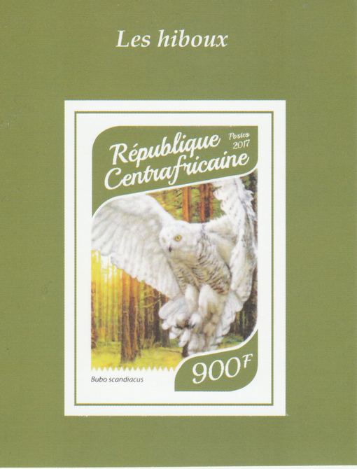 Central African Republic 2017 Owls #3 imperf deluxe sheet unmounted mint. Note this item is privately produced and is offered purely on its thematic appeal., stamps on birds, stamps on birds of prey, stamps on owls