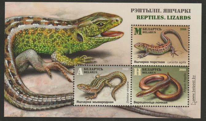 Belarus 2018 Reptiles perf m/sheet unmounted mint, stamps on reptiles