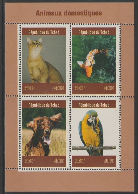 Chad 2019 Pets (Birds, Cats, Dogs) perf sheet containing 4 values unmounted mint. , stamps on birds, stamps on parrots, stamps on dogs, stamps on cats, stamps on humming birds, stamps on 
