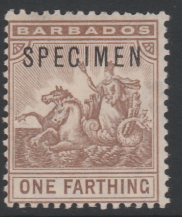 Barbados 1907 Britannia 1/4d overprinted SPECIMEN, fine with gum and only about 300 produced, SG 163s, stamps on specimens
