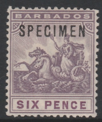 Barbados 1907 Britannia 6d overprinted SPECIMEN, fine with gum and only about 300 produced, SG 168s, stamps on specimens