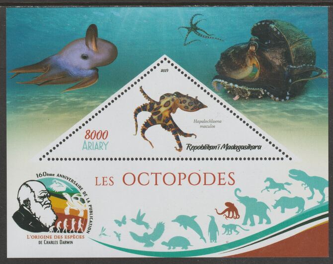 Madagascar 2019 Darwin 160th Anniversary of Publication of The Origin of Species - Octopus #1 perf deluxe sheet containing one triangular value unmounted mint, stamps on triangular, stamps on shaped, stamps on darwin, stamps on marine life, stamps on octopus