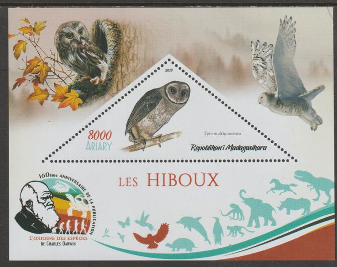 Madagascar 2019 Darwin 160th Anniversary of Publication of The Origin of Species - Owls #1 perf deluxe sheet containing one triangular value unmounted mint, stamps on , stamps on  stamps on triangular, stamps on  stamps on shaped, stamps on  stamps on darwin, stamps on  stamps on birds, stamps on  stamps on birds of prey, stamps on  stamps on owls
