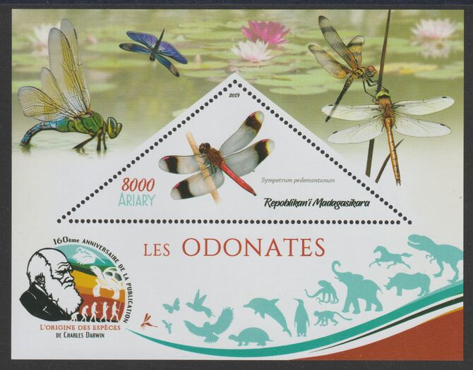 Madagascar 2019 Darwin 160th Anniversary of Publication of The Origin of Species - Dragon Flies #1 perf deluxe sheet containing one triangular value unmounted mint, stamps on , stamps on  stamps on triangular, stamps on  stamps on shaped, stamps on  stamps on darwin, stamps on  stamps on insects, stamps on  stamps on dragon flies