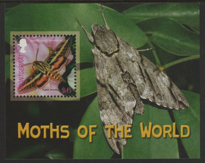 Montserrat 2006 Sphinx Moth perf souvenir sheet unmounted mint SG MS1315, stamps on butterflies
